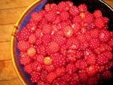 raspberries from mark's garden