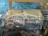 lobster traps